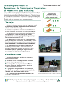 Agrupadores de Comerciantes/ Cooperativas de Productores para