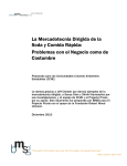 BMSG CCHE Target Marketing Brief Spanish
