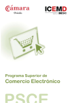 Programa Superior de Comercio ElectrÃ³nico ICEMD ESIC