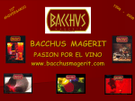 bacchus magerit