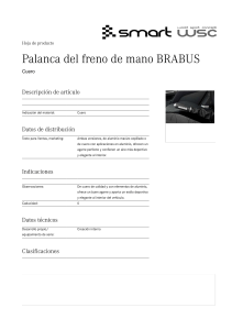 Palanca del freno de mano BRABUS