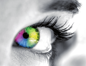 Folleto Diseño y Marketing