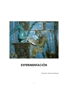 Experimentación - PROYECTO EMPRESARIAL 2.0
