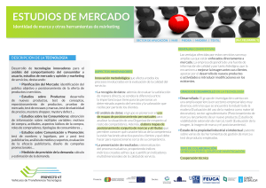 estudios de mercado - Qué es el Proyecto VT