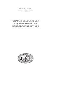 Terapias celulares en las enfermedades neurodegenerativas