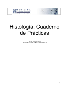 Cuaderno de Prácticas de Histología