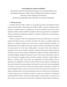 Neurobiología de la hiperexcitabilidad Silvia Josefina López Pérez