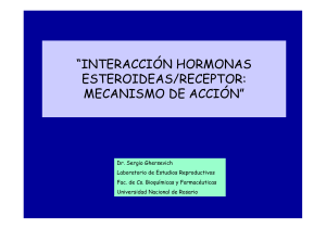 interacción hormonas esteroideas/receptor: mecanismo de acción
