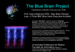 The Blue Brain Project - Facultad de Informática