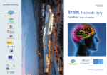Brain. The Inside Story - Parque de las Ciencias