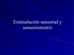 Estimulación sensorial y sensoriomotriz