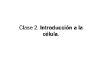 Clase 2. Introducción a la célula.
