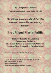 Prof. Miguel Marín-Padilla - Sesiones Clínicas de PAAF