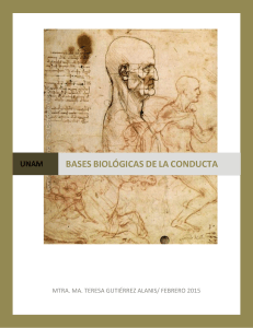 bases biológicas de la conducta - Sistema Universidad Abierta