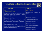 Clasificación Familia Herpesviridae