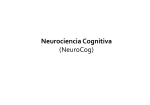 Neurociencia Cognitiva (NeuroCog)