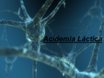 Acidemia Láctica - Campus Virtual FFyB