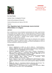 Descargar Sketch - Instituto Cajal