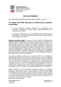 neuronales - Delegación del CSIC en la Comunidad Valenciana