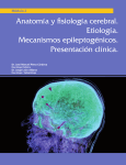 anatomia y fisiología.indd - Conoce sobre la Epilepsia