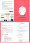el programa en PDF