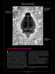 Mente y Cerebro, n.º 79 - Investigación y Ciencia