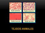 tejidos animales