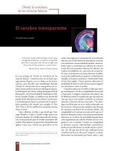 El cerebro transparente - Revista de la Facultad de Medicina de la