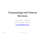 Sistema nervioso II