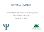Sistema límbico - neurociencia cognicion