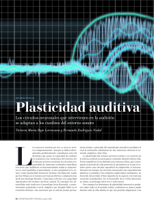 Plasticidad auditiva. Excelente artículo de la revista Investigación y