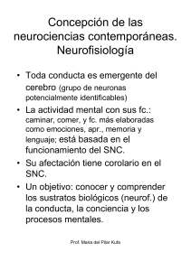 Concepción de las neurociencias contemporáneas. Neurofisiología