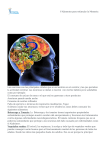 6 Alimentos para estimular la Memoria Las neuronas son las