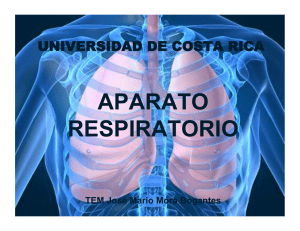 APARATO RESPIRATORIO - aemucr.files.wordpress