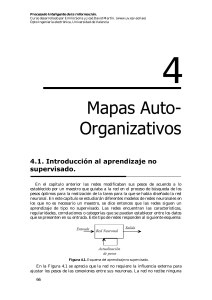 4. Mapas Auto- Organizativos