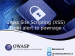 Cross Site Scripting (XSS) From alert to pownage