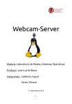 Webcam-Server