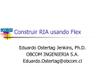 Construir RIA con Flex - OBCOM INGENIERIA SA (Chile)