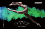 CATÁLOGO PUBLICO FINAL 2015.6 AGOSTO.indd
