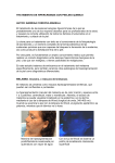 trabajo de investigaciòn - SOARME :: Sociedad Argentina de