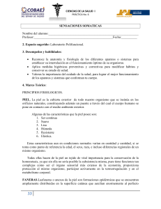 Practica 6 Sensaciones somaticas