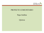 Proyecto Comunitario Papa andina Quinoa …