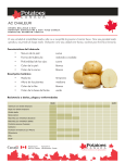 ac chaleur - Potatoes Canada