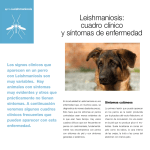 Leishmaniosis: cuadro clínico y síntomas de enfermedad