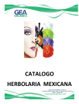 catalogo herbolaria mexicana