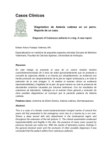 Casos Clínicos - Universidad de Antioquia