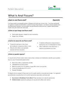 What Is Anal Fissure? - UMass Memorial Health Care