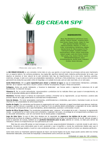BB CREAM SPF