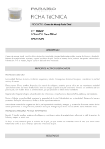 FICHA T&eacute;CNICA