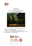 forests - Premios Max